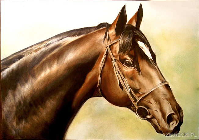 Portret konia Be My Cheaf Portret konia